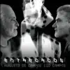 Cid Campos & Augusto de Campos - Entredados